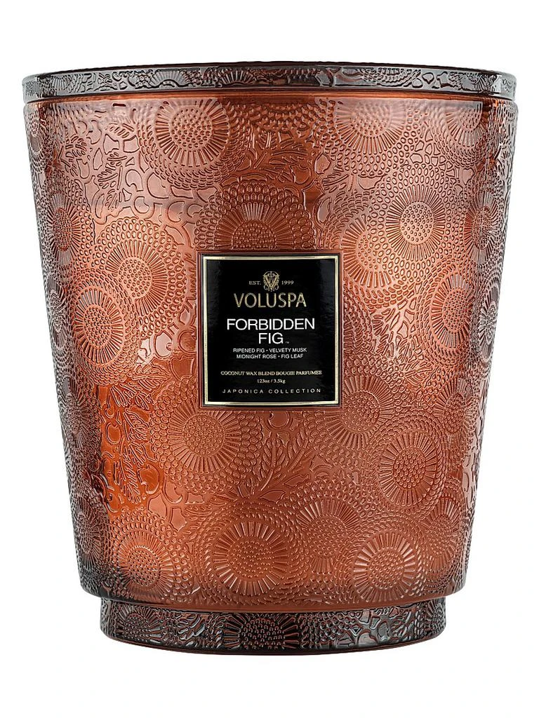 商品Voluspa|Forbidden Fig 5-Wick Hearth Candle,价格¥1859,第1张图片