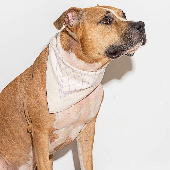 商品Wild One|Printed Cotton Pet Bandana,价格¥135,第1张图片详细描述