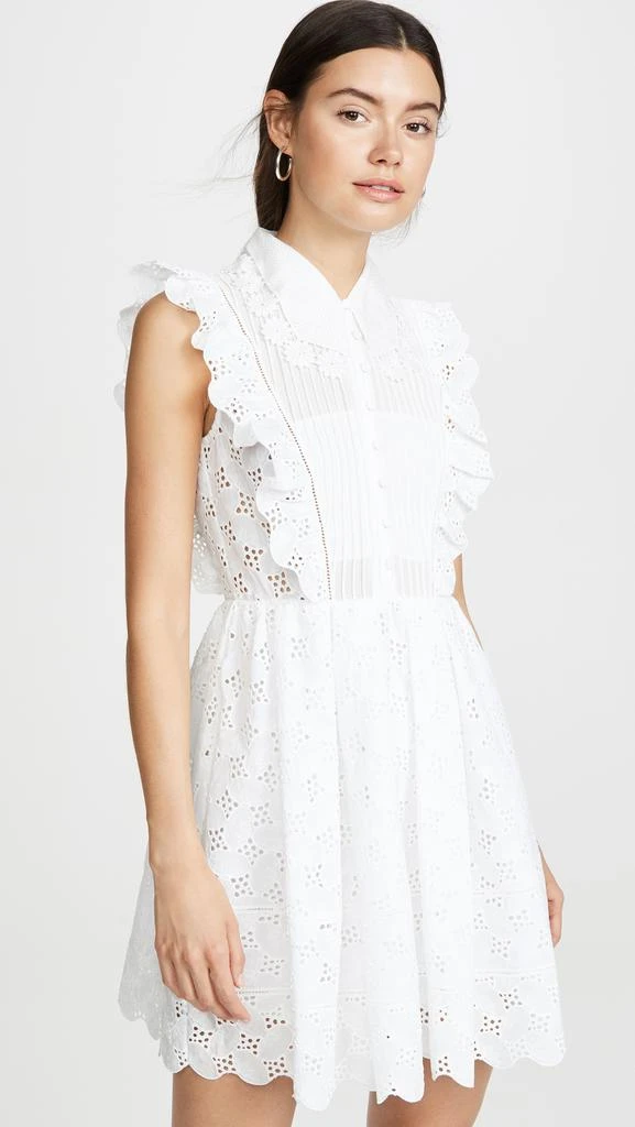 商品Self Portrait|Self Portrait Leaf Broderie Anglaise Mini Dress,价格¥1802,第2张图片详细描述