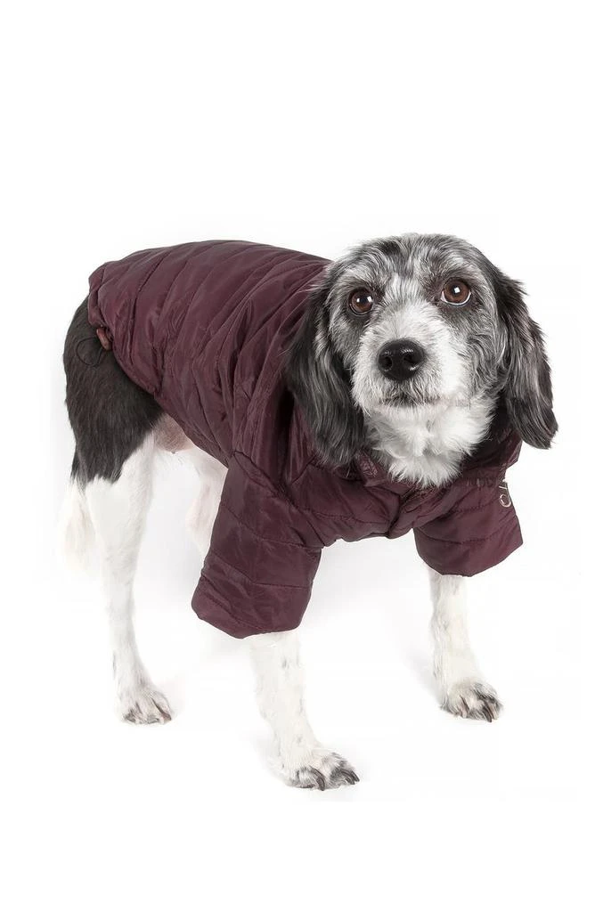 商品PETKIT|Lightweight Adjustable Sporty Avalanche Pet Coat - Small,价格¥281,第4张图片详细描述
