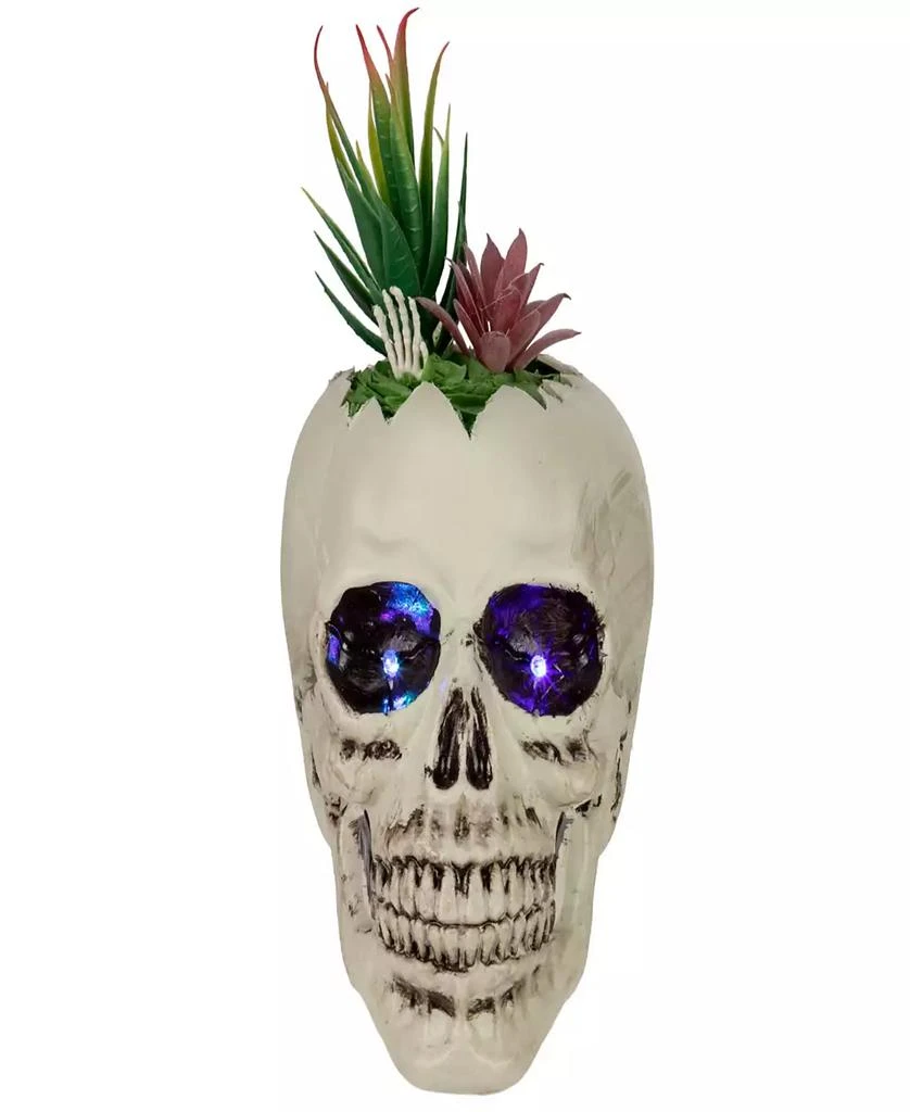商品Northlight|8.75" LED Lighted Succulent Halloween Skull Planter,价格¥522,第1张图片