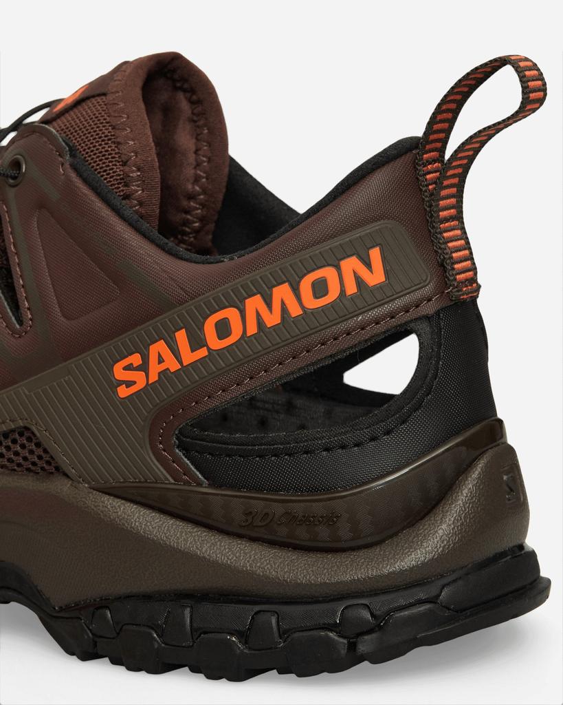 SALOMON｜SNEAKERS (XA PRO 3D AMPHIB (French Roast/Delici Salomon XA Pro 3D Amphib French Roast / Delicioso / Red