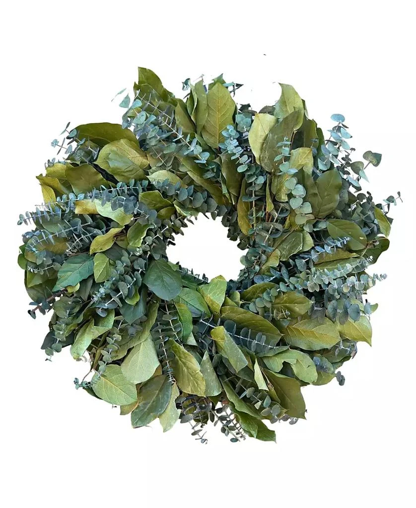 商品GreenishBlu|Salal and Baby Blue Eucalyptus Real Preserved Wreath, 24",价格¥989,第1张图片