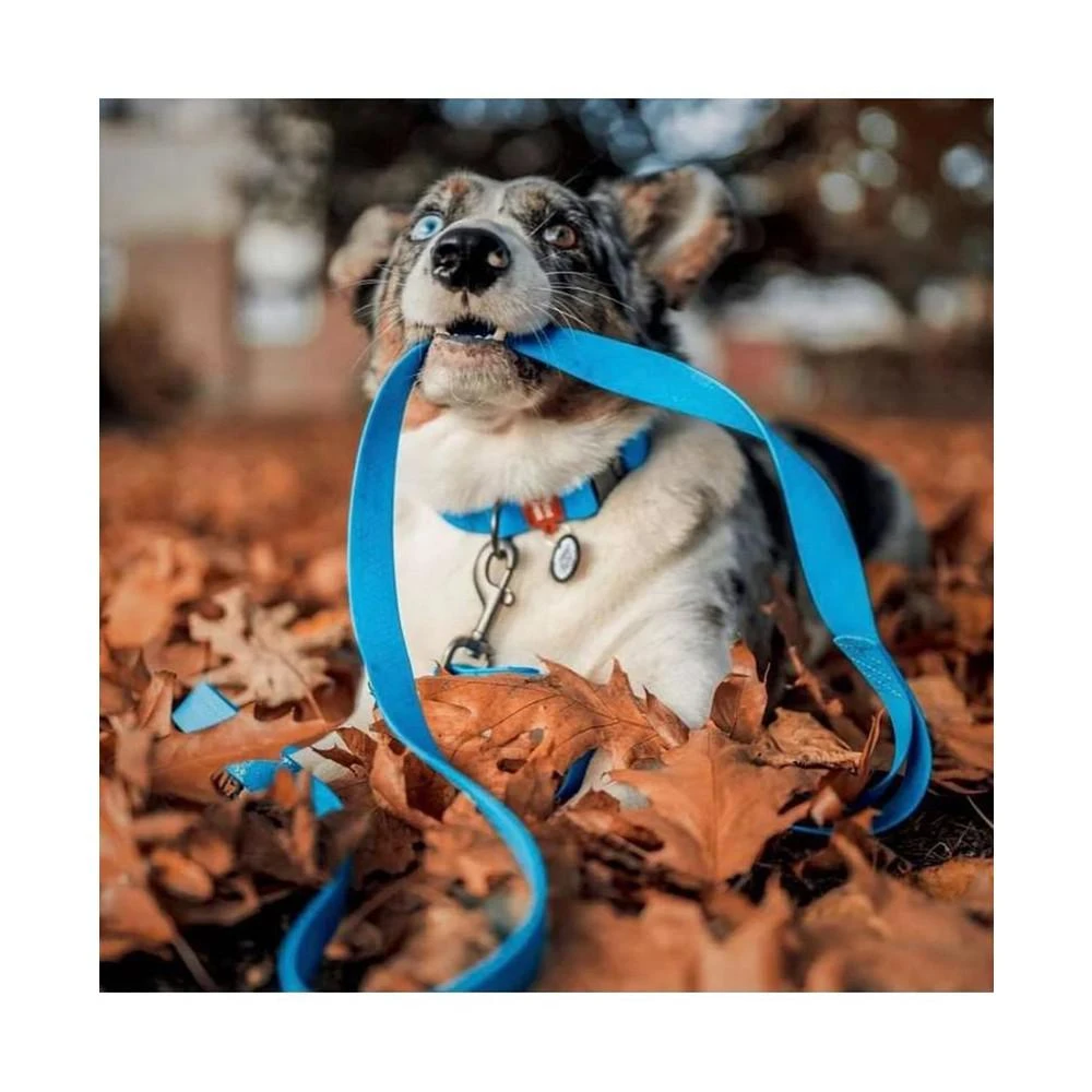 商品Waudog|Waterproof dog leash, W 20 mm, L 183 cm blue,价格¥223,第2张图片详细描述