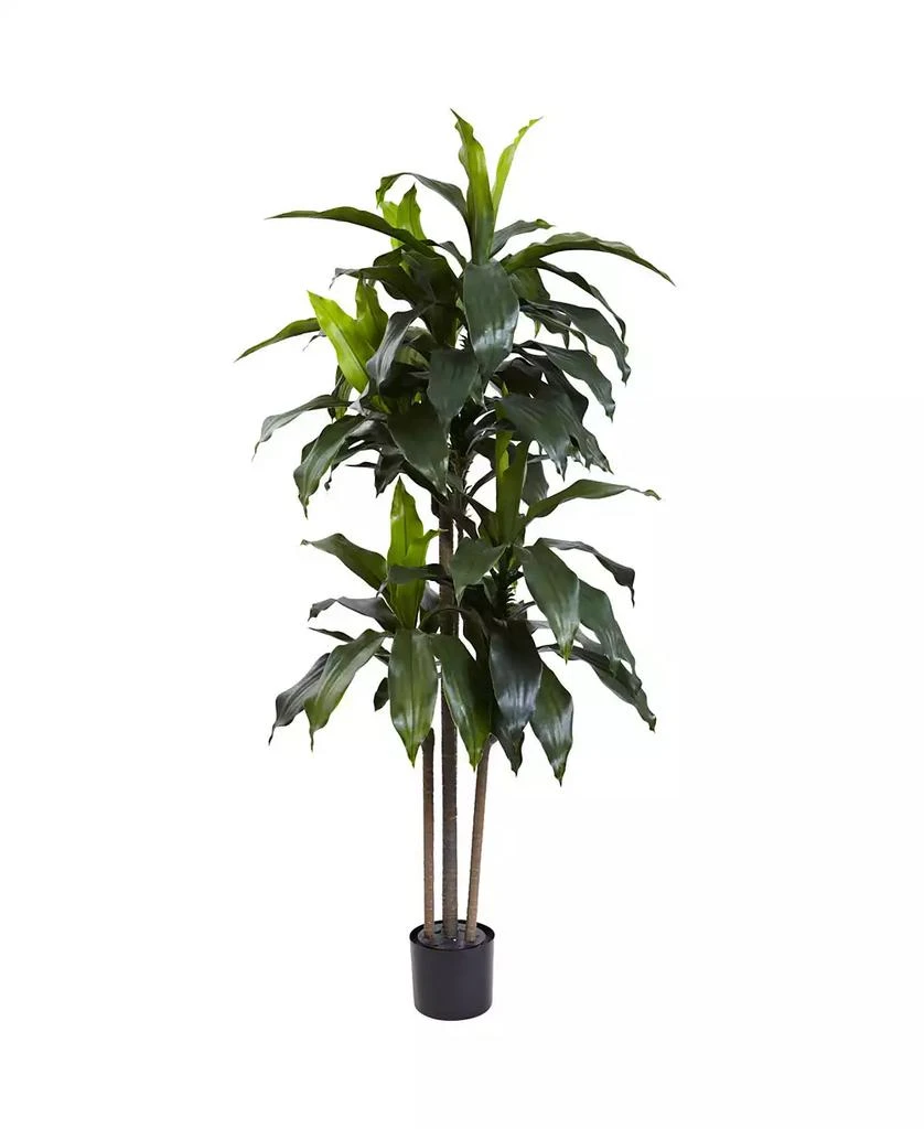 商品NEARLY NATURAL|5' Dracaena Plant UV Resistant,价格¥1505,第1张图片