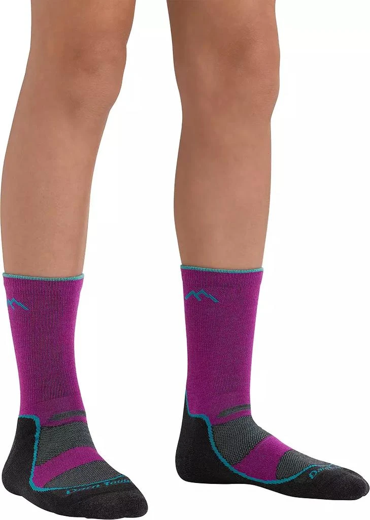 商品Darn Tough|Darn Tough Girls' Light Hiker Cushioned Micro Crew Socks,价格¥91,第2张图片详细描述