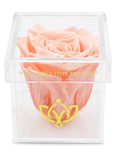 商品The Million Roses|Peach Rose In Single Rose Box,价格¥442,第1张图片