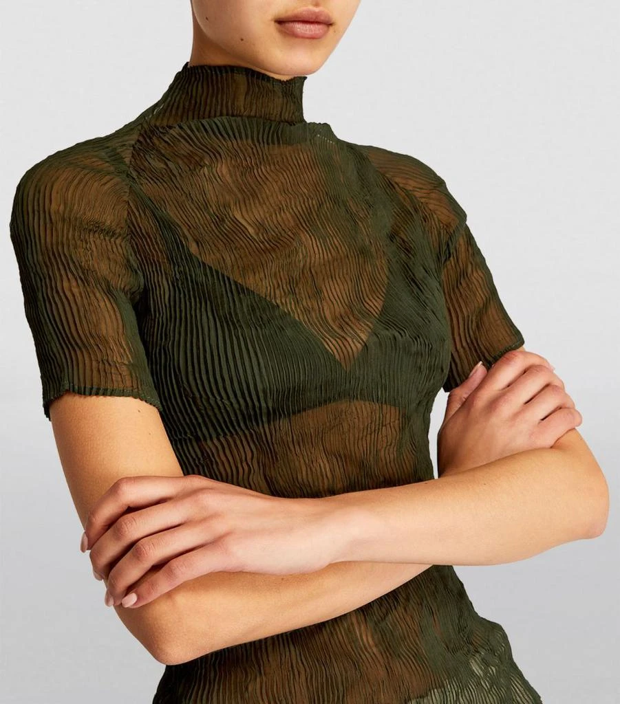 Chiffon Twist Sheer Top 商品