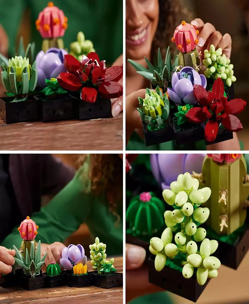 商品LEGO|Icons 10309 Succulents Botanical House Plants Adult Toy Building Set,价格¥371,第5张图片详细描述