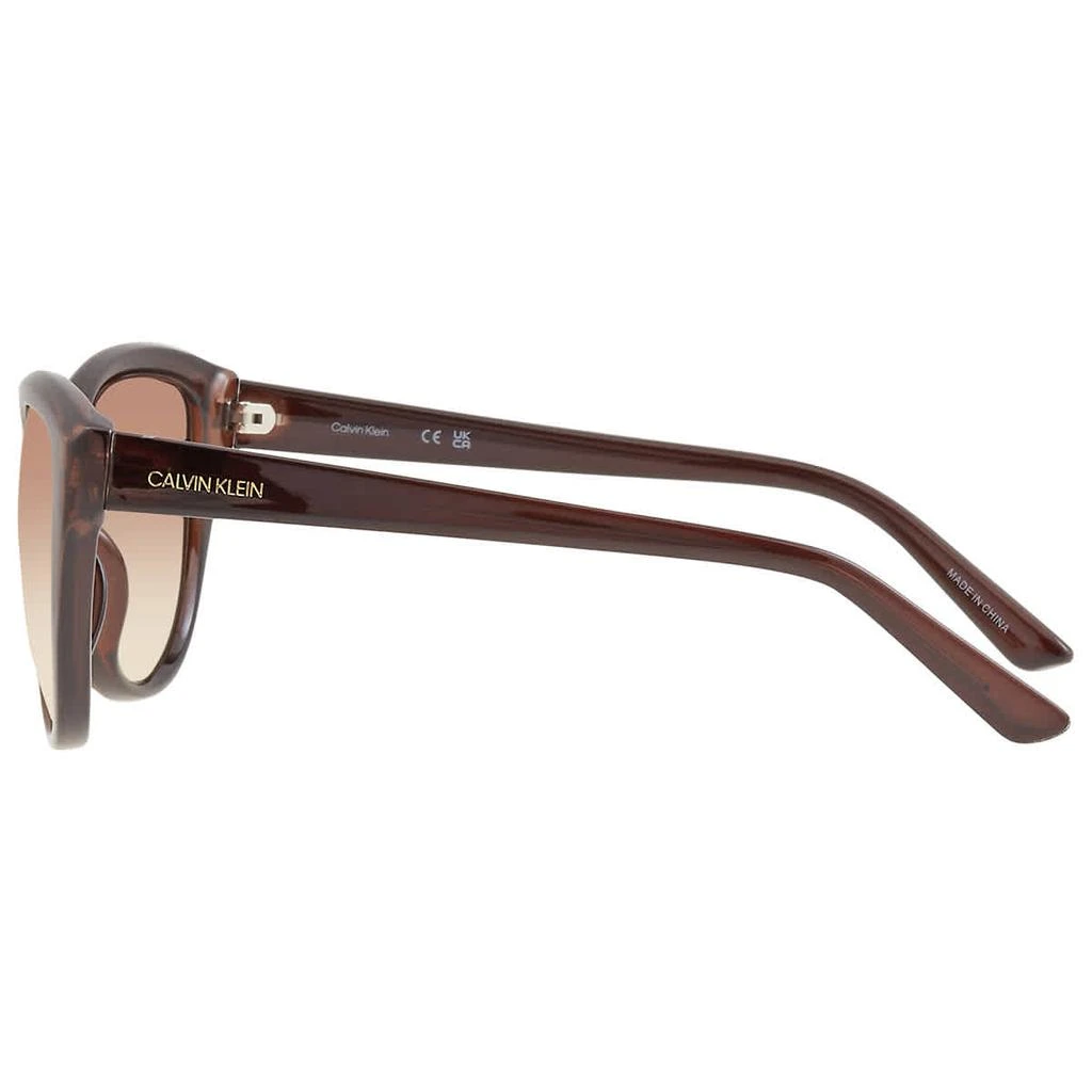 商品Calvin Klein|Brown Gradient Cat Eye Ladies Sunglasses CK19536S 210 55,价格¥187,第3张图片详细描述