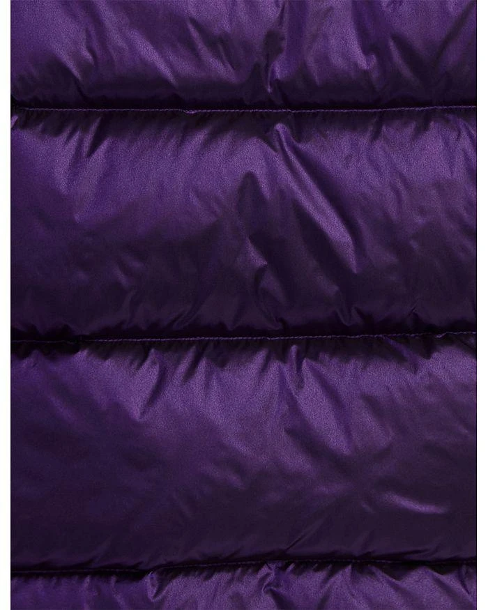 商品Ralph Lauren|Girls' Metallic Down Hooded Jacket - Big Kid,价格¥1358,第3张图片详细描述