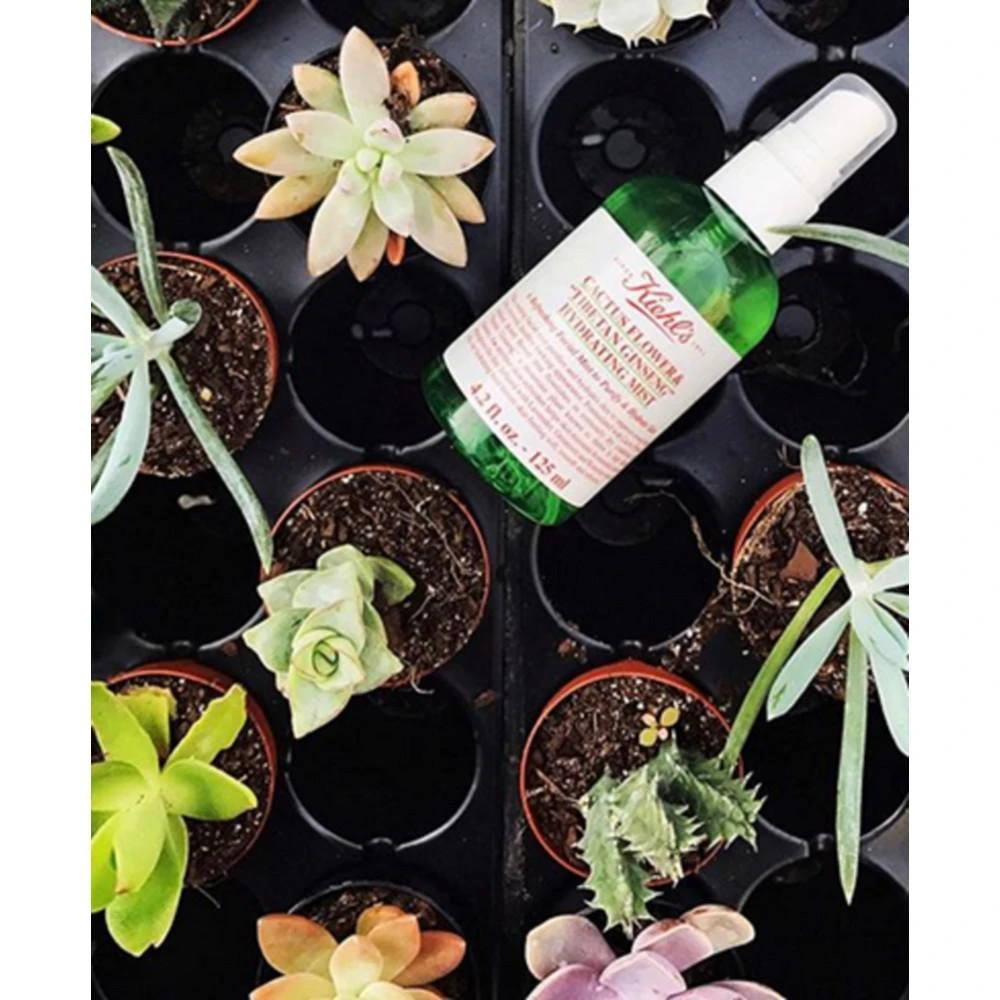 商品Kiehl's|Cactus Flower & Tibetan Ginseng Hydrating Mist, 2.5-oz.,价格¥127,第2张图片详细描述