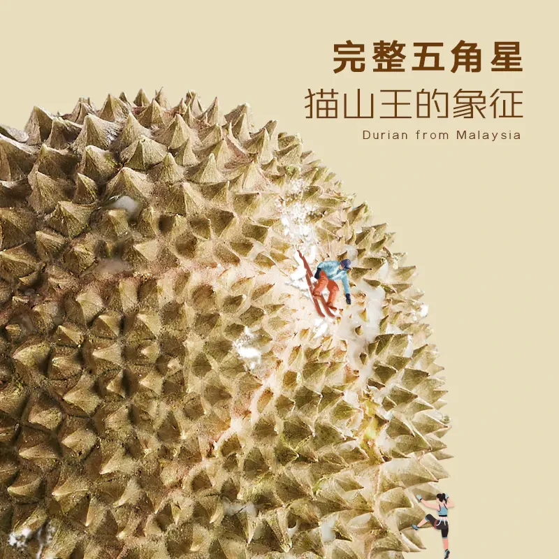 市舶士马来西亚彭亨州猫山王 新鲜水果液氮冷冻保鲜带壳榴莲D197整个【非次日达】 商品