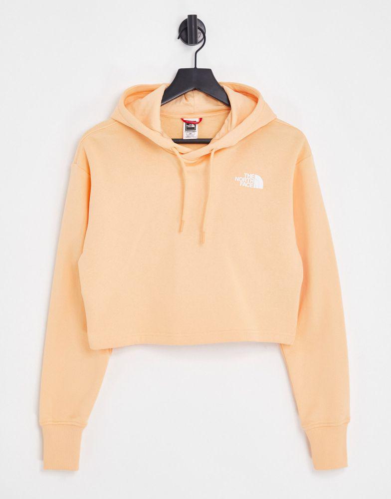 The North Face Coordinates hoodie in orange商品第2张图片规格展示