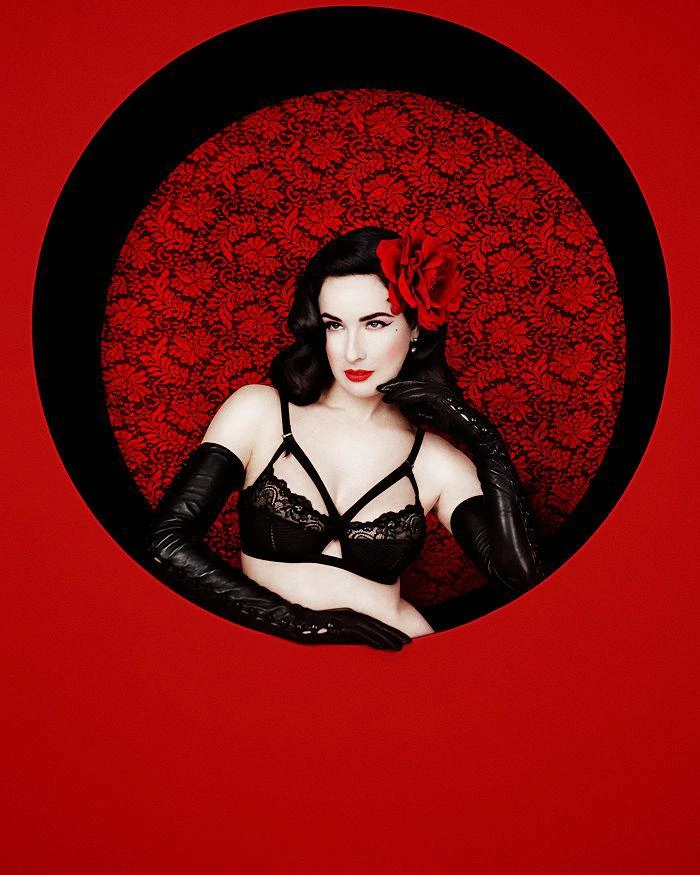 商品Dita Von Teese|Madame X Lace Underwire Bra,价格¥561,第4张图片详细描述