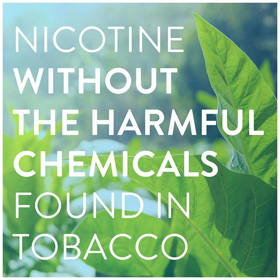 Mini Nicotine Polacrilex Lozenge, 2 mg Mint 商品