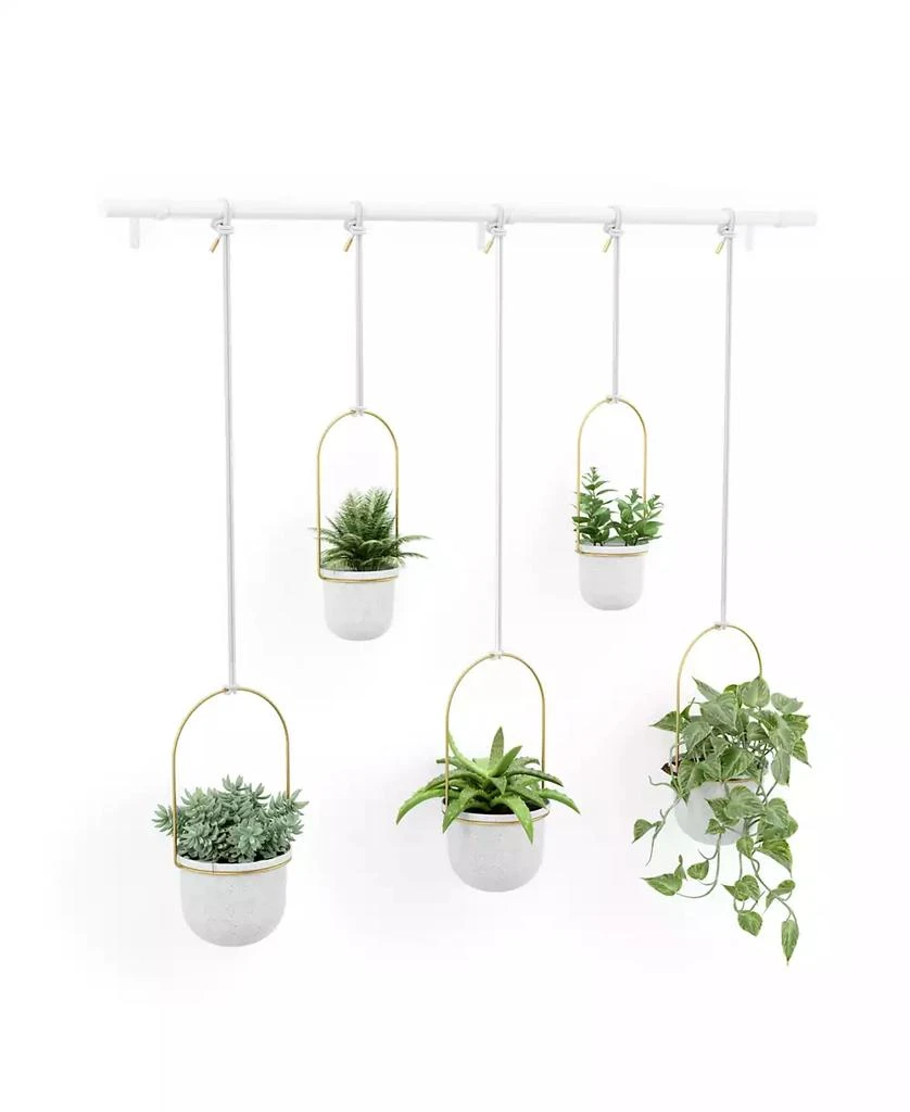 商品Umbra|Triflora Hanging Planter, Set of 5,价格¥1000,第2张图片详细描述