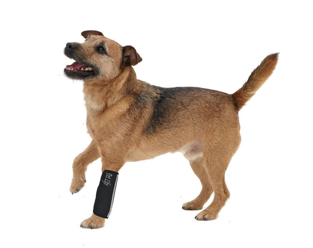 商品Pet Life|'Extreme-Neoprene' Joint Protective Safety Recovery and Reflective Pet Dog Sleeves - Set of 4,价格¥293,第2张图片详细描述