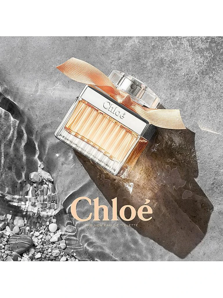商品Chloé|Chloé Rose Tangerine Eau de Toilette,价格¥908,第5张图片详细描述