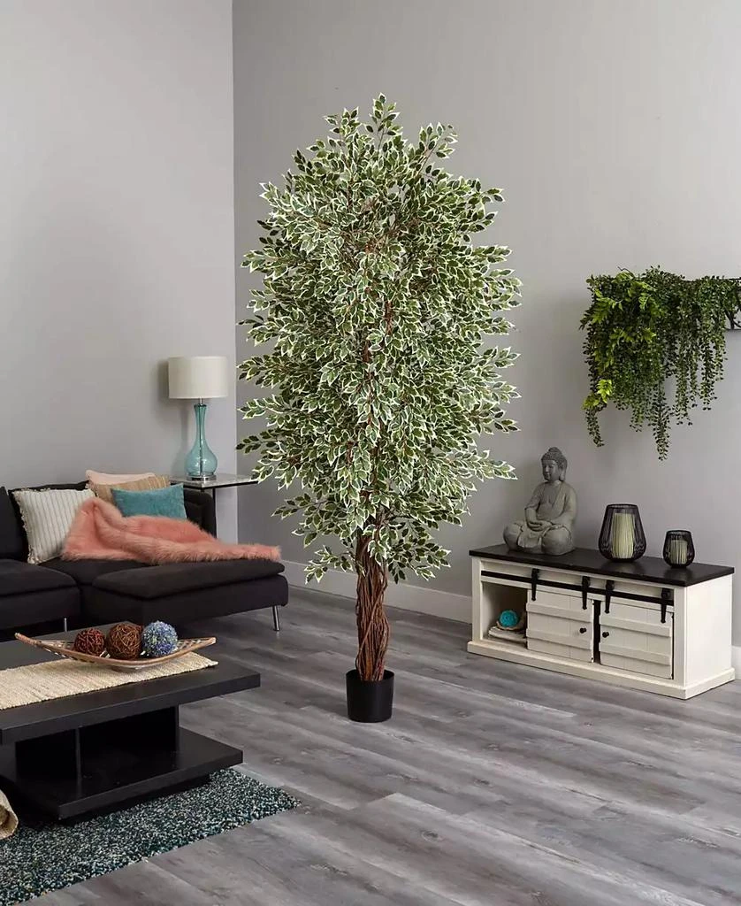 商品NEARLY NATURAL|7.5' Variegated Mini Ficus Tree,价格¥1977,第5张图片详细描述