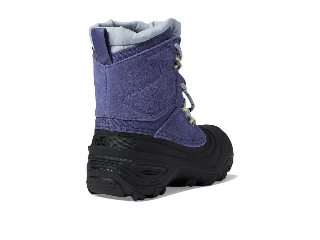 商品The North Face|Alpenglow V Waterproof (Toddler/Little Kid/Big Kid),价格¥566,第5张图片详细描述