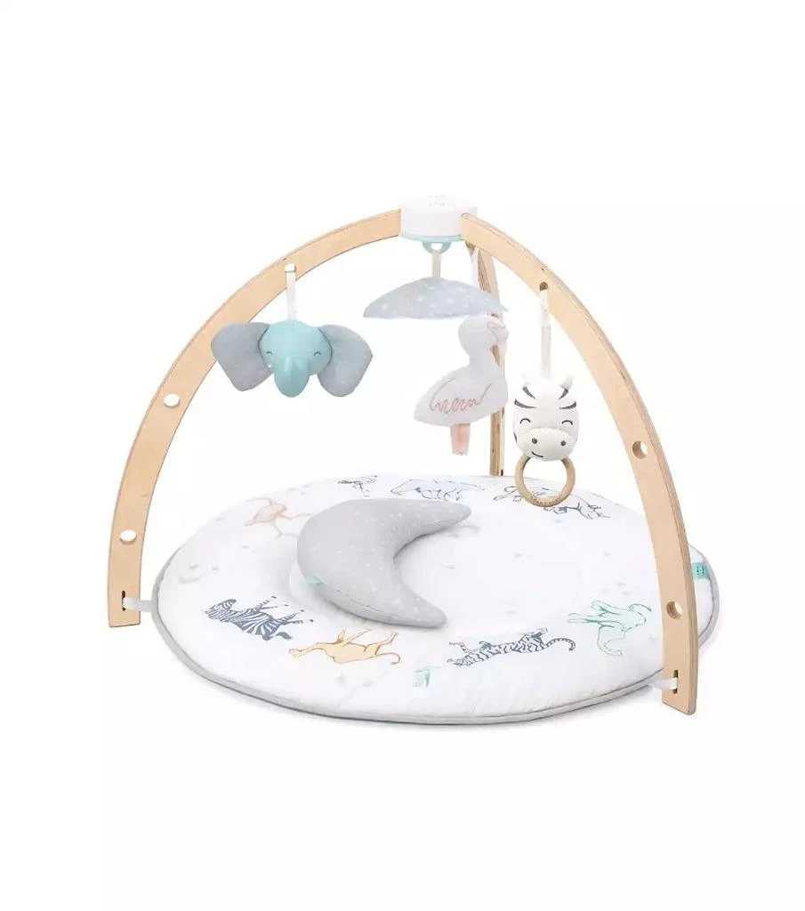 商品aden + anais|Activity Gym,价格¥748,第1张图片