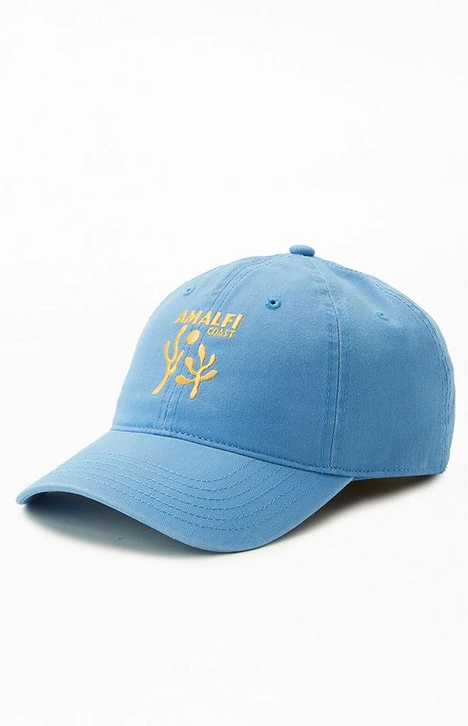 商品PacSun|Amalfi Strapback Hat,价格¥121,第4张图片详细描述