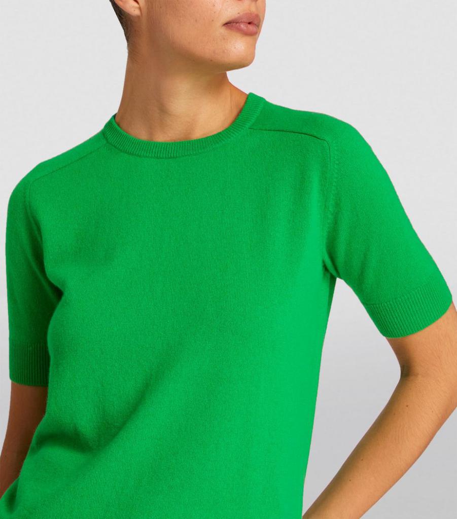 Cashmere Kenza T-Shirt商品第6张图片规格展示