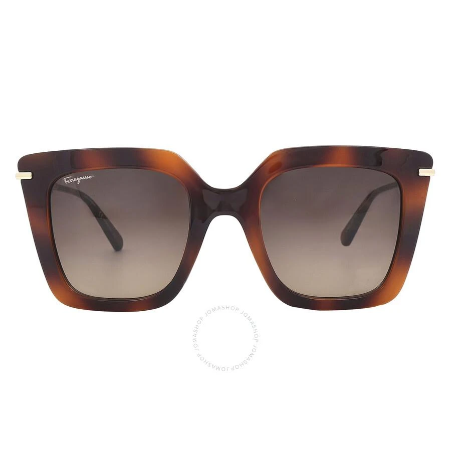 商品Salvatore Ferragamo|Salvatore Ferragamo Brown Gradient Butterfly Ladies Sunglasses SF1041S 238 51,价格¥420,第1张图片