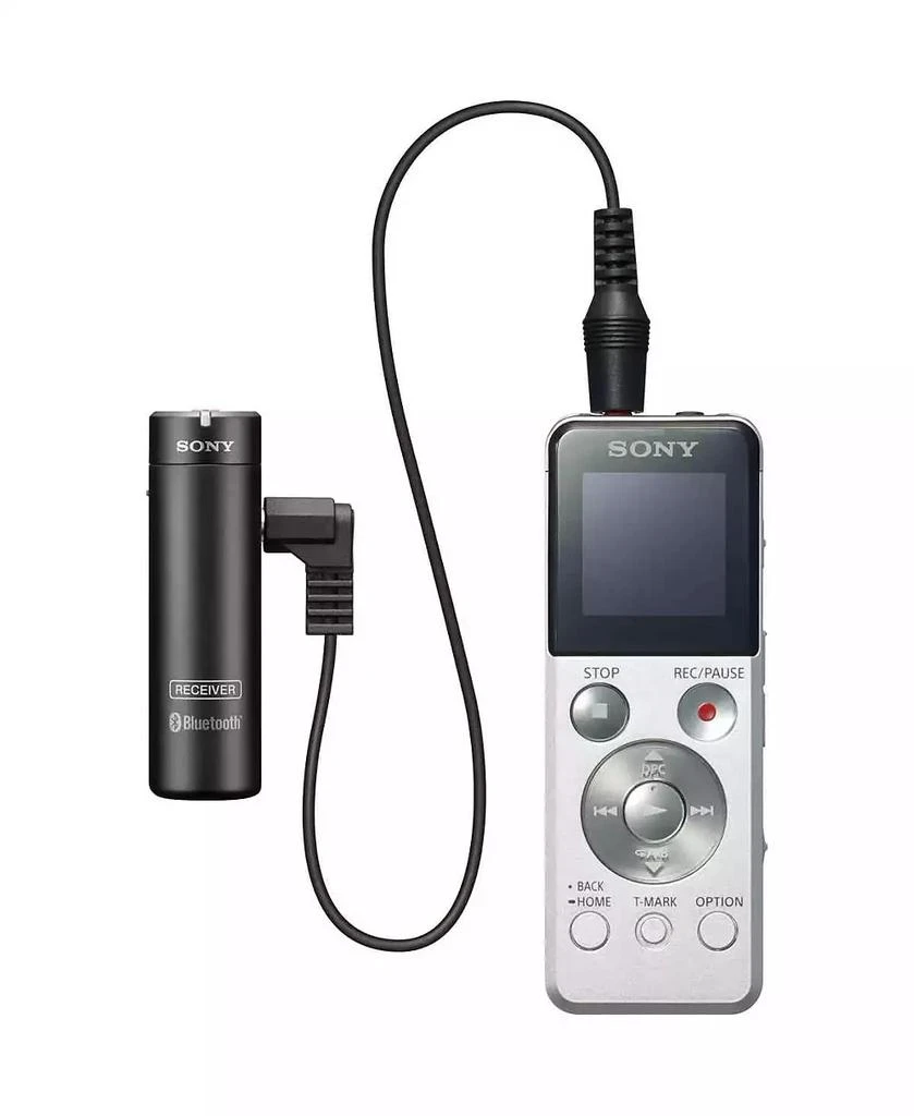 ECM-AW4 Bluetooth Wireless Microphone System 商品