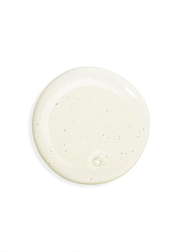 商品Sisley|Hair Rituel Gentle Purifying Shampoo 500ml,价格¥1582,第2张图片详细描述