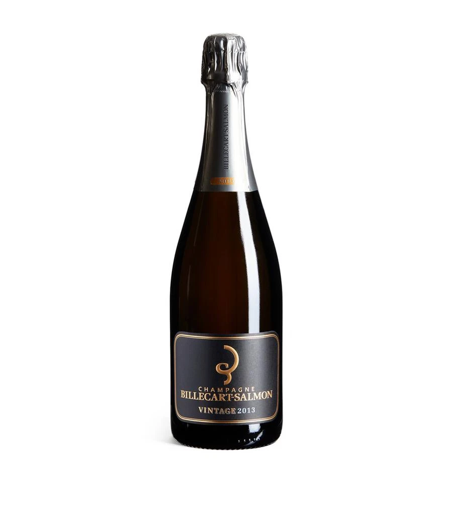 商品Billecart Salmon|Champagne 2013 (75cl) - Champagne, France,价格¥716,第1张图片