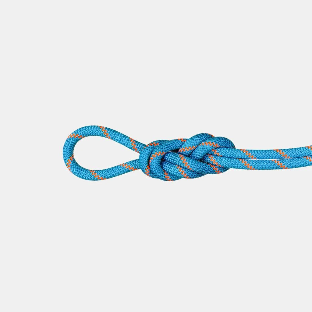 商品Mammut|8.7 Alpine Sender Dry Rope,价格¥2294,第1张图片