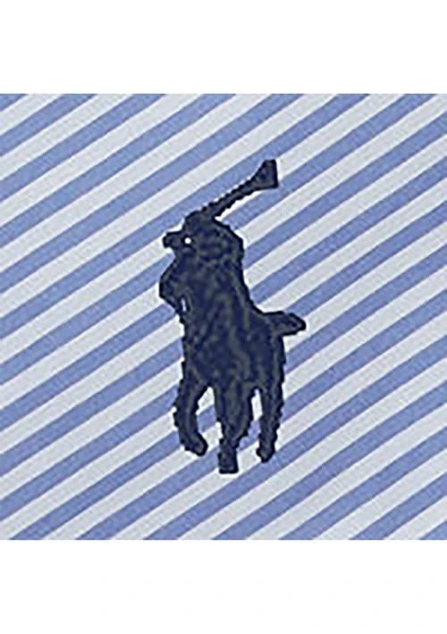 商品Ralph Lauren|Boys 8-20 Striped Cotton Poplin Shirt,价格¥290,第3张图片详细描述
