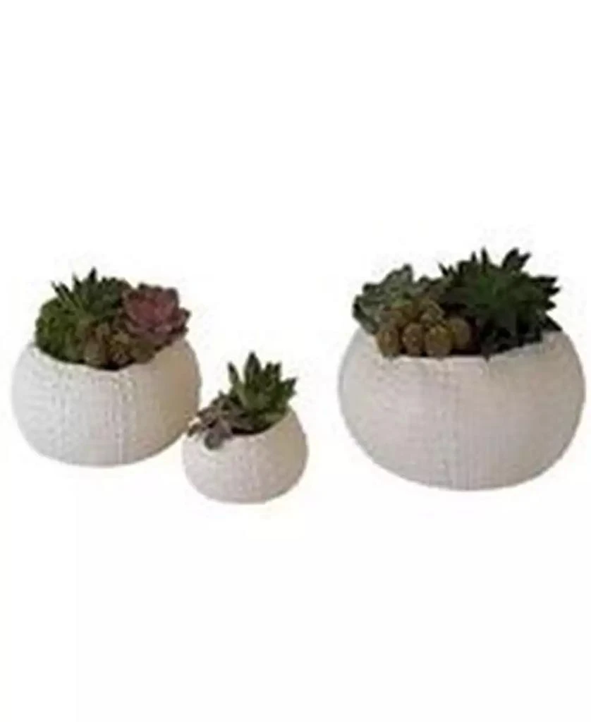 商品Global Views|Ceramic Urchin Bowl Small,价格¥637,第1张图片