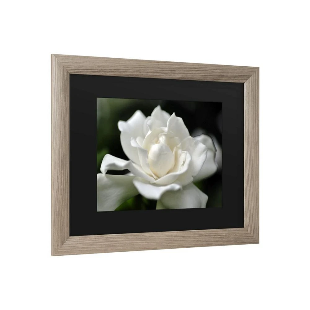 商品Trademark Global|Kurt Shaffer Lovely Gardenia Matted Framed Art - 27" x 33",价格¥449,第2张图片详细描述