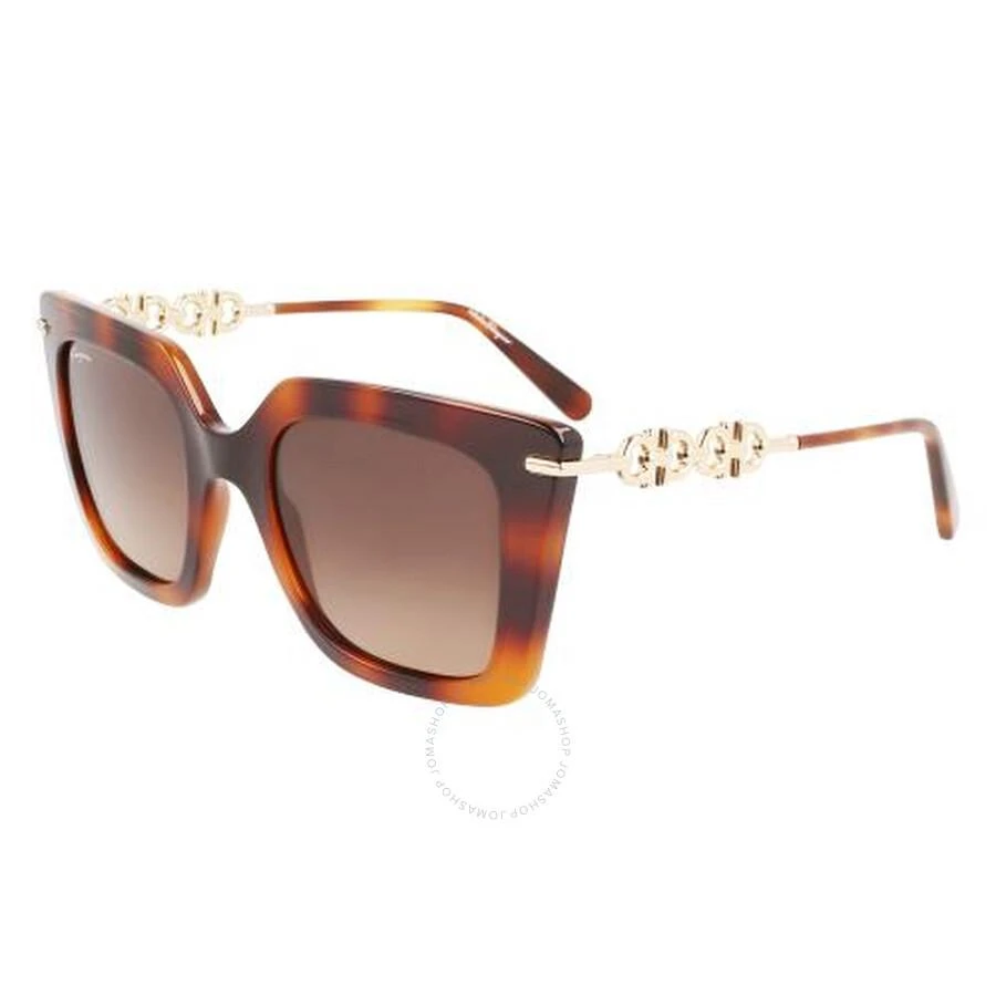 商品Salvatore Ferragamo|Brown Gradient Butterfly Ladies Sunglasses SF1041S 238 51,价格¥521,第1张图片