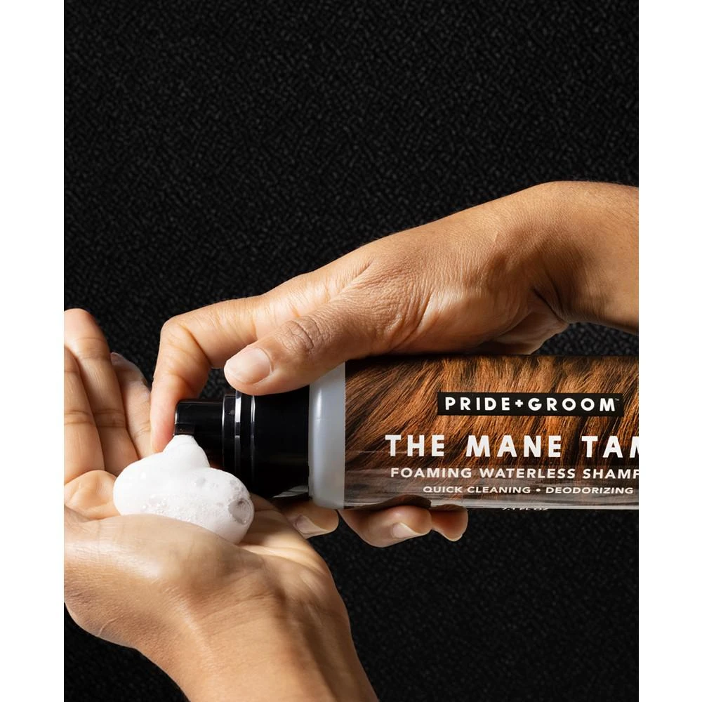 商品Pride+Groom|"The Mane" Tame Waterless Pet Shampoo, 16-oz.,价格¥150,第4张图片详细描述