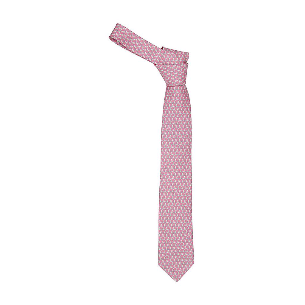 Salvatore Ferragamo Ties Pink商品第4张图片规格展示