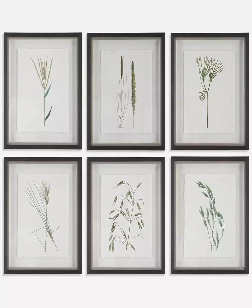 商品Uttermost|Forest Finds Framed Prints Art, Set of 6,价格¥3916,第1张图片