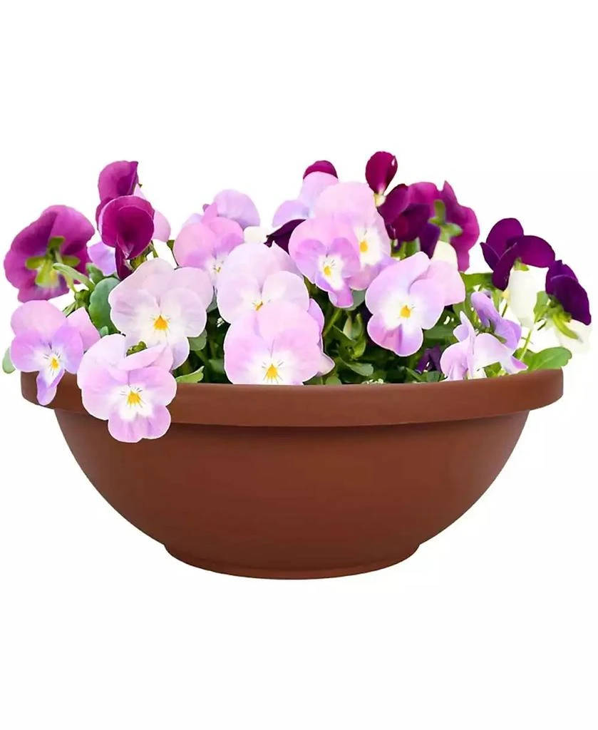 商品Akro Mils|Akro Mills Garden Bowl with Removable Drain Plugs, Clay Color, 14 In,价格¥194,第3张图片详细描述