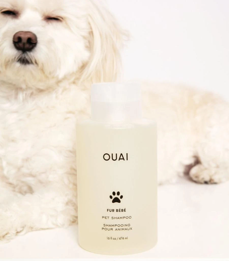 Fur Bébé Pet Shampoo (474ml) 商品