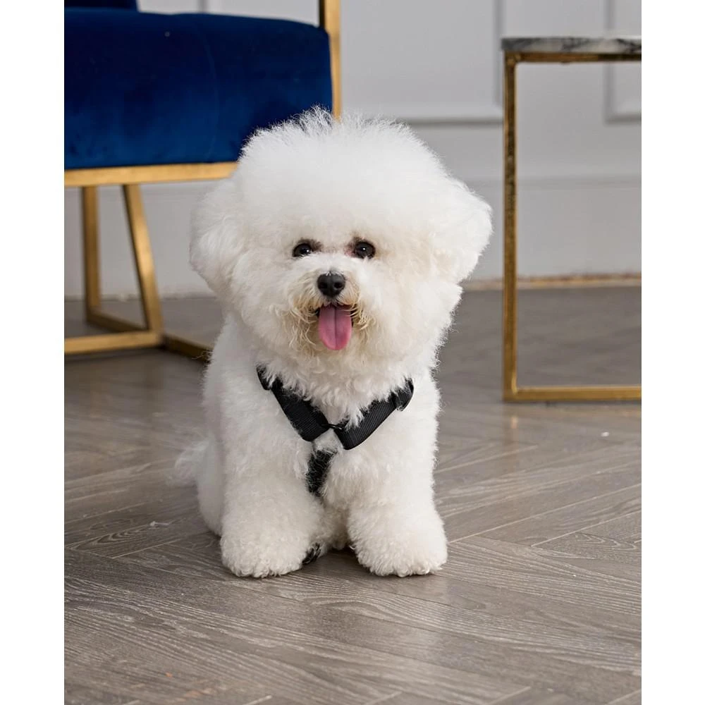 Bling Velour Pet Harness and Leash 2 Piece Set 商品