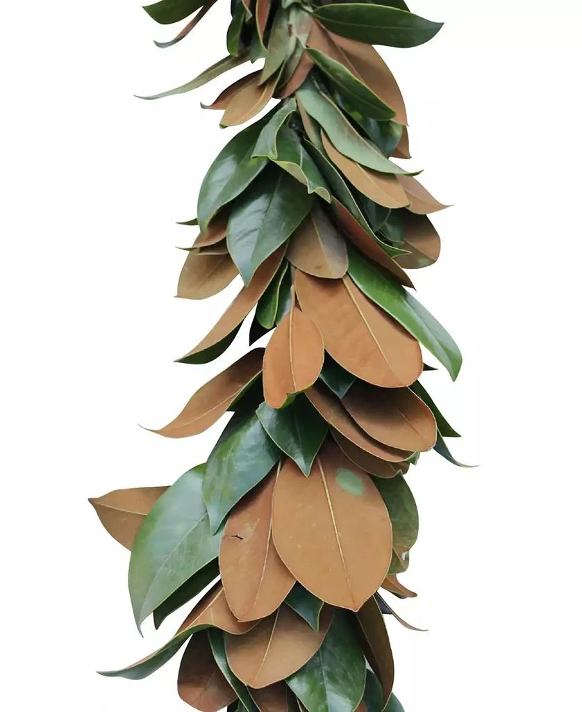 商品Magnolia Supply Co|Fresh Magnolia Garland, 6',价格¥741,第2张图片详细描述
