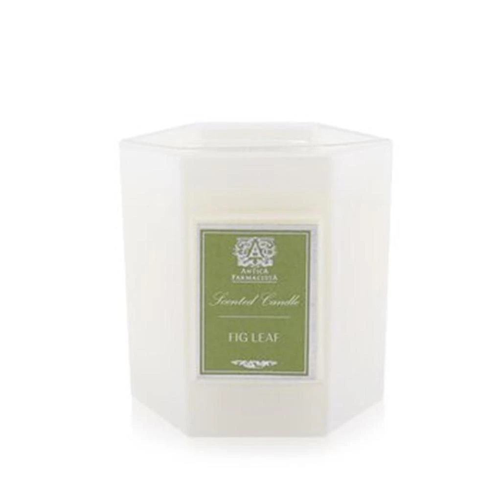 商品Antica Farmacista|9 oz Candle - Fig Leaf,价格¥403,第1张图片