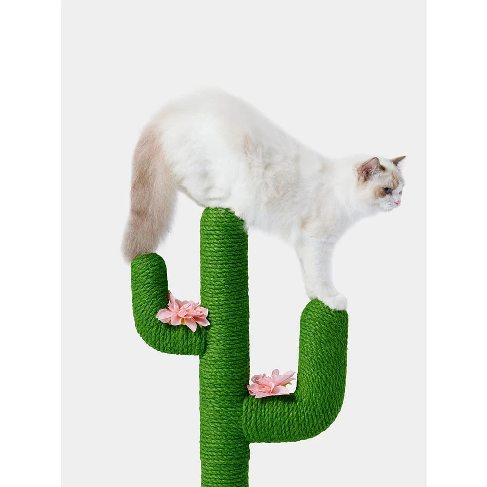 商品VETRESKA|Oasis Cactus Cat (mini) Scratching Post, Cactus Cat Scratchers Kitten Scratch Pole with Natural Sisal Rope for Indoor Cats, Vertical Cactus Cat Tree for Adult Cats and Kittens,价格¥672,第3张图片详细描述