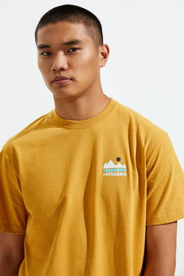 商品Patagonia|Patagonia Fed Up With Melt Down Responsibili-Tee® Tee T恤,价格¥152,第4张图片详细描述