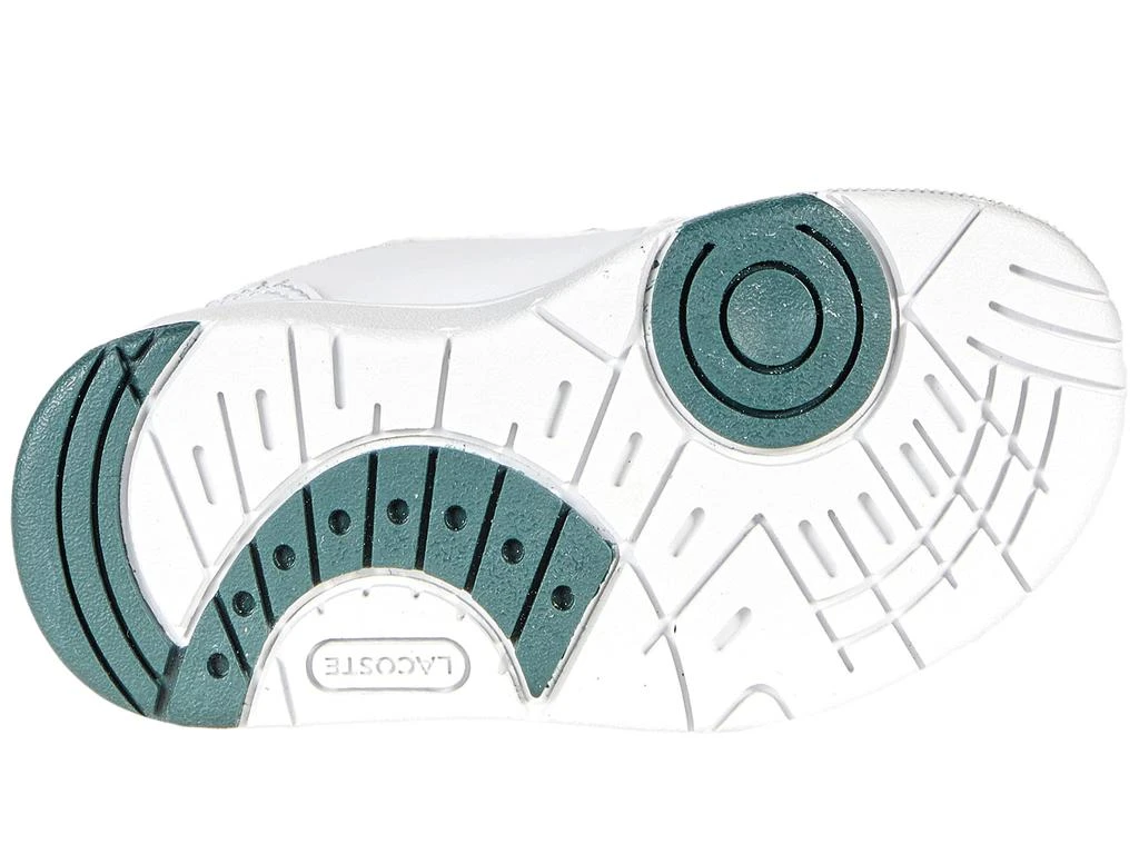 商品Lacoste|T-Clip 0121 1 SUI (Toddler/Little Kid),价格¥272,第3张图片详细描述