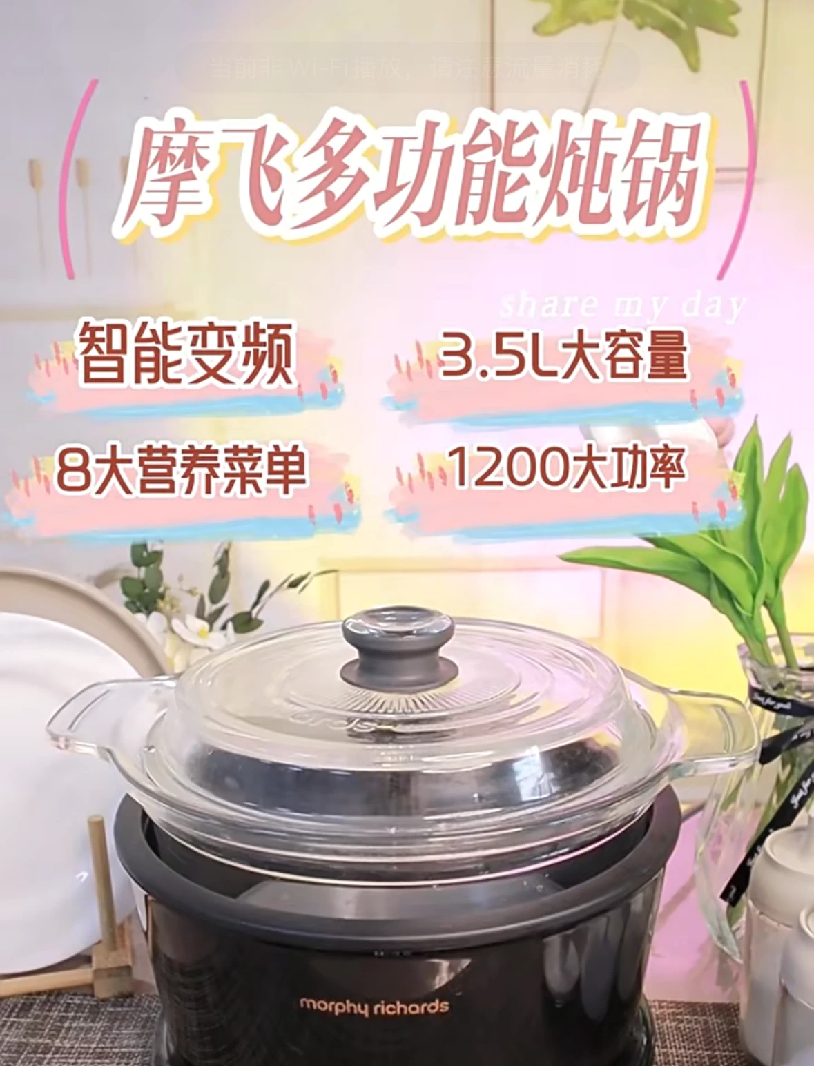 电炖煲汤锅多功能家用养生锅隔水燕窝炖陶瓷全自动煮粥MR9082 商品