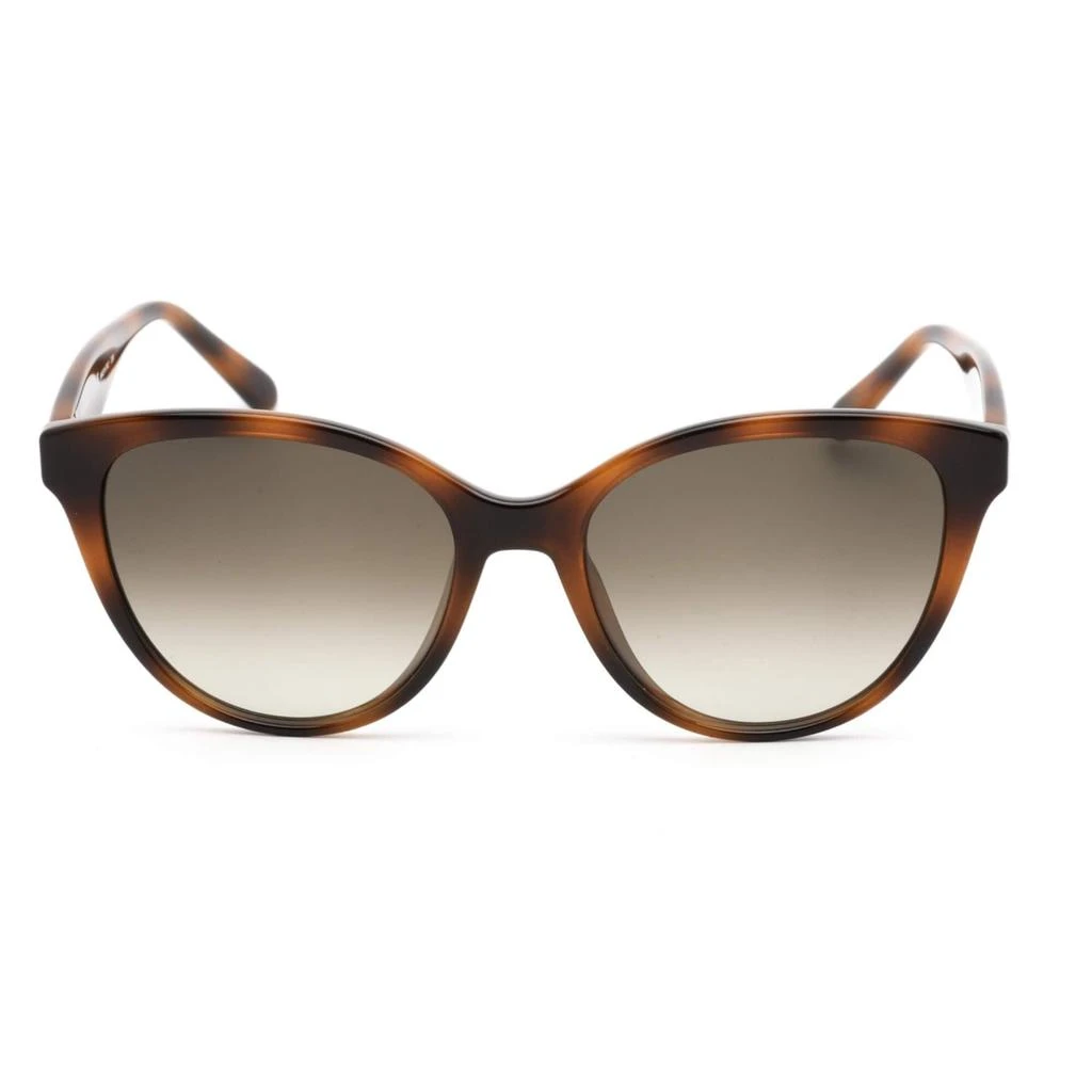 商品Salvatore Ferragamo|Salvatore Ferragamo Women's Sunglasses - Tortoise Frame Gradient Lens | SF1073S 240,价格¥559,第2张图片详细描述